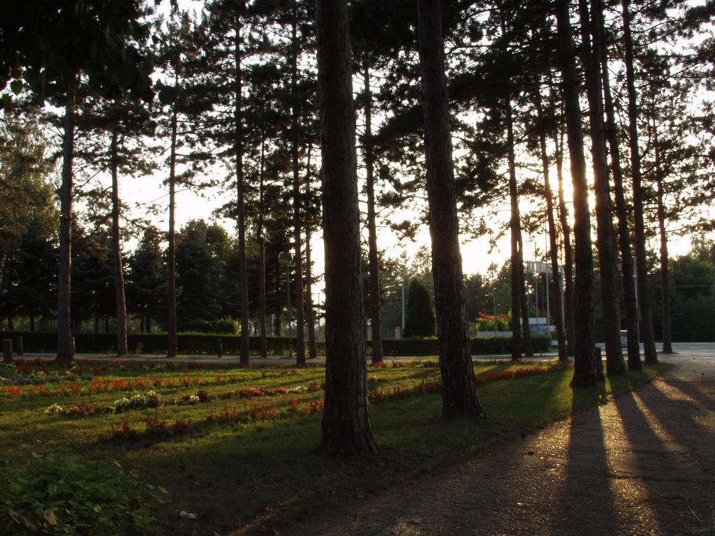 Hotel Ravni Gaj Knic ภายนอก รูปภาพ